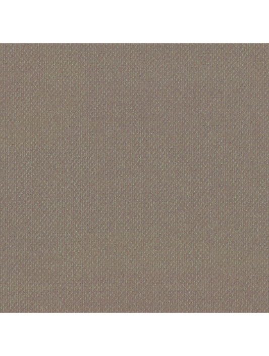 London Metallic Beige Material Swatch