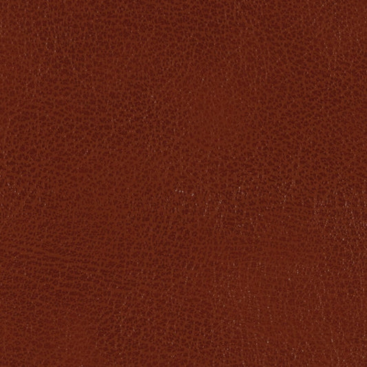 Edinburgh Cuero Material Swatch