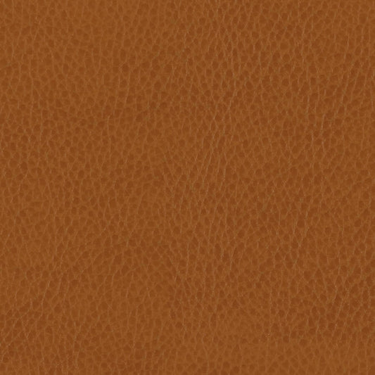 Zürich Tan Material Swatch